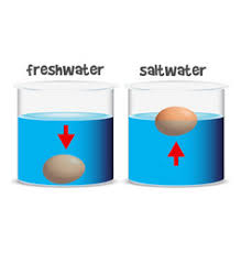 float sink vector images (over 190)