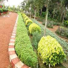 We create designs and plans for gardens in the uk, france, spain and throughout the world. Green Garden Landscapes Garden Design Sankar Nursery Serampore Id 4389584930