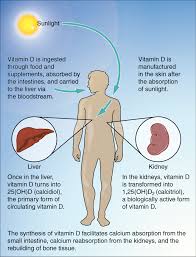 So it's worth looking for other sources of vitamin d in place. Vitamin D Deficiency Wikipedia