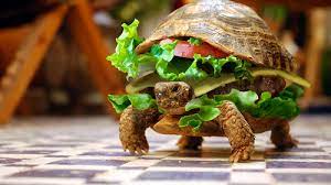 To embed a single image,click share, grab the html/bbcode , copy and paste the code below: Most 20 Funny Photoshopped Animals