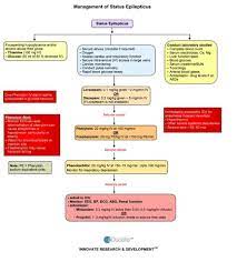 Management Of Status Epilepticus Also Know As Status When The Seizure Will Not Stop Usually Over 5 Mi Pediatric Nursing Seizures Nursing Nursing Mnemonics
