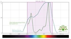 Every year, new grow lights are introduced into the market and 2021 is no exception for some of the best led grow lights. Plant Lighting Explained In Numbers Par Ppf Dli Etc