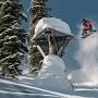 Profile Picture of Dustin Craven and Zoi Sadowski-Synnott win Natural ... (@pleasuremag.com) on Google