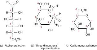 Cyclic guide book is forced into player … 10.04.2020 · the ender book is an item added by cyclic. 16 4 Cyclic Structures Of Monosaccharides Chemistry Libretexts