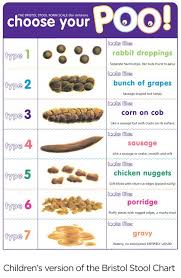 bristol stool chart bristol stool scale stool chart