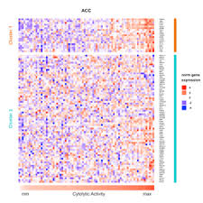 Image result for bioinformatics heatmap