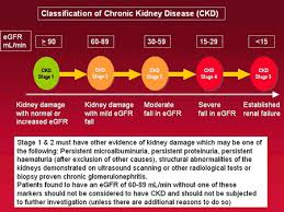 ckd chart stage 4 me kidney health chronic kidney