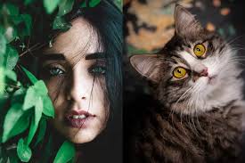 Mengenal coloboma yang menyebabkan jaringan mata jadi hilang, salah satu  penyebabnya karena kelainan genetik