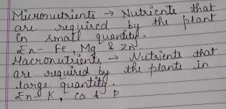 English hindi dictionary macronutrient ; Define Micronutrients And Macronutrients Plz Help Me Anyone Brainly In
