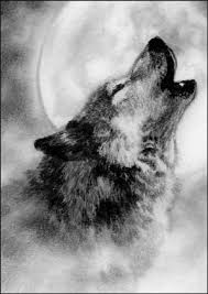 Wolf Moon Drawing Google Search Hayvan Cizimi Iluzyonlar Cizim
