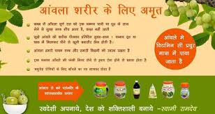 Patanjali Amla Products Patanjali Products Amla