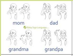 I discovered i learned the noun signs with only one or two looks at a card because so many of the signs mimic the i wanted to start baby signing(asl) with my 8 month old, but i wanted it to be like a nice game. Freebie Baby Sign Language Flash Cards All Paperblog