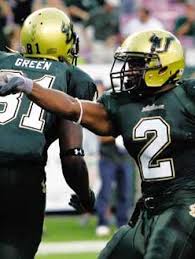 Image result for Green 2005 AA