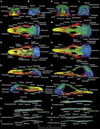 Watch online the crown on 123movies all seasons & episodes free without downloading or registration. Jk2b3g91ig L6m