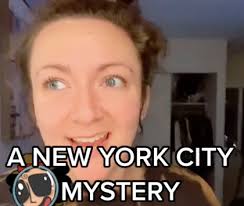 Enroll in the waking up with ryan online workshop and you'll get seven full days of morning exercises, guided practices, and coaching straight from ryan himself. Who Is Samantha Hartsoe Nyc Woman Finds Hidden Apartment Behind Bathroom Mirror