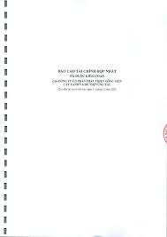 BÁO CÁO TÀI CHÍNH HỢP NHẤT - ĐÃ ĐƯỢC KIỂM TOÁN - Của ...