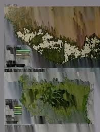 Image result for Cassipourea ndando