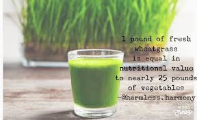 Cati lei este o lira sterlina? Harmless Harmony Home Facebook