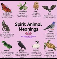 First, let's take a look at what these spirit animals are. Spirit Animals Witchy Wisdom The Spells8 Forum