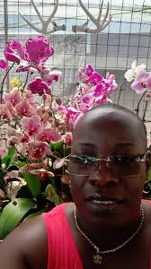 Orchid varieties for sale in a garden center