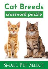 Cat Breed Puzzle Cat Breeds Cats Breeds