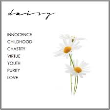 Design Theme Symbolism Learn The Meaning Behing Our Designs Daisy Flower Meaning Daisy Love Flower Symbol