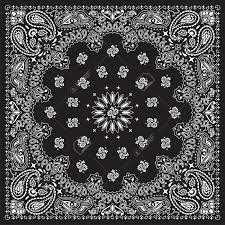 Classic Bandana Print Google Search Southwestern Art Bandana Design Traditional Duvet Covers