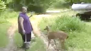 Bryce Mitchell Rear Naked Choked A Deer To Death Sherdog Forums Ufc Mma Boxing Discussion The main characters are recognizable!