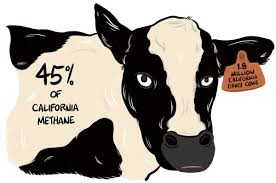 Could New Methane Emissions Regulations Tend A Greener California Or Sour The State S Dairy Industry Methane Climates California
