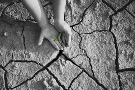 Fungsi ilmu ekonomi dalam kegiatan pemenuhan kebutuhan adalah. Kelangkaan Sumber Daya Dan Cara Mengatasinya Halaman All Kompas Com