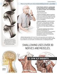 Med Slp Bundle Dysphagia Patient Staff And Family Education Pack 1 Dysphagia Swallowing Disorder Swallowing Therapy