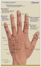 Aculife Tiens Hand Reflexology Reflexology Hand Chart Reflexology