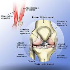Injuries of the patellofemoral joint. Torn Meniscus Symptoms Treatment Mri Test Recovery Time