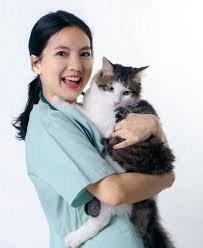 The next generation of veterinary professionals is being trained to improve the lives of animals and humans by leaders in preharvest food safety, inflammation and metabolic disorders, and equine sports equine athlete veterinary services. Take Your Cat To The Vet Campaign Returns With The Support Of Department Of Veterinary Services Prebiu Com