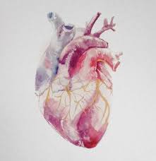 Pin By In My Sacred Space On Baleias Medical Art Art Heart Art