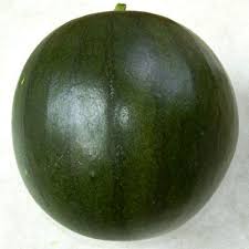 Image result for Citrullus lanatus