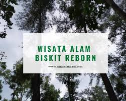 10 tempat wisata di jember yang cocok untuk liburan 2019jember merupakan sebuah kabupaten di jawa timur, kabupaten ini memiliki sejuta pesona dan panaroma. Ngadem Sejenak Di Wisata Alam Biskit Reborn Ainun Isnaeni