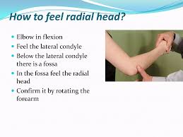 Image result for Elbow Exam