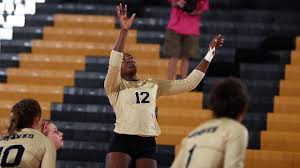 She was born in 1990s, in millennials generation. Aquia Jones Volleyball Uncp Athletics