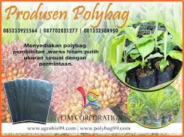 Polybag Pembenihan Menyediakan Plastik Polybag Koker Untuk Segala Macam Jenis Pembibitan Plastik Polybag Untuk Tanaman Hanya Melayani P Panen Tanaman Benih