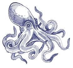 Octopus Ink Drawing By Stacey Rozich Epic Shading Love It Polpi Disegni