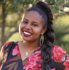 Introducing the Project