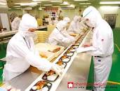 Image result for Đơn hàng cơm hộp nữ đến 35 tuổi 3 năm lương 40tr đi Australia