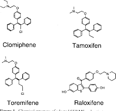 Image result for Selective Estrogen Receptor Modulator