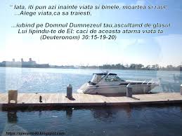 Speranța de viață la naștere speranța de viață la 65 ani. Speranta Omul N Lume I Ca Vaporul