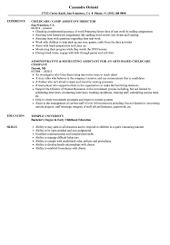 Childcare Assistant Resume Samples Velvet Jobs