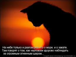 а на небе только и разговоров что о море Kotomatrica Na Nebe Tolko I Razgovorov Chto O More I O Zakate Tam Govoryat O Tom Kak