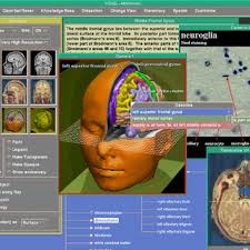 PDF) Knowledge-Based and 3D Imaging Systems in Medical Education
