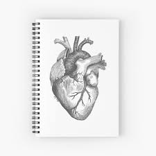 See more ideas about heart art, anatomy art, anatomical heart. Anatomical Heart Spiral Notebooks Redbubble