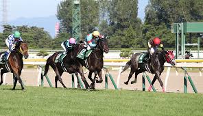 12:18 ニートボクロチキン 17 394 просмотра. ãƒ¬ãƒ¼ã‚¹ã«ã¤ã„ã¦ é–¢å±‹è¨˜å¿µ ä»Šé€±ã®æ³¨ç›®ãƒ¬ãƒ¼ã‚¹ Jra